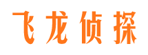 金阳市调查公司